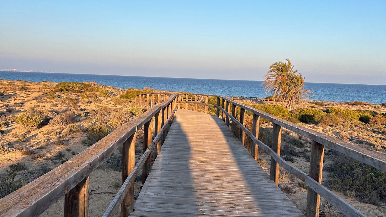 Photo of Others in Monte Faro