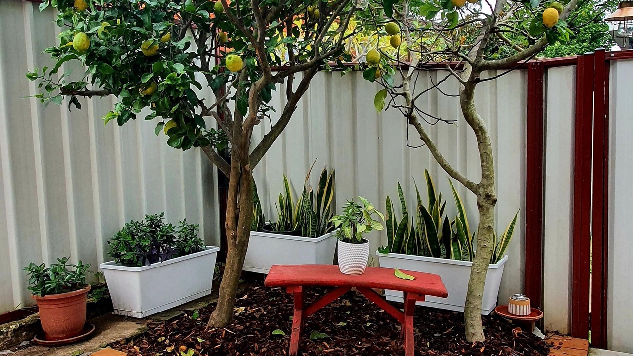 Photo of Patio Balcony in Parramatta
