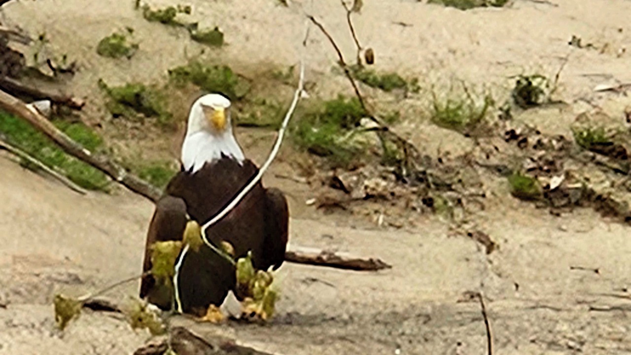 Photo of Others in West Olive