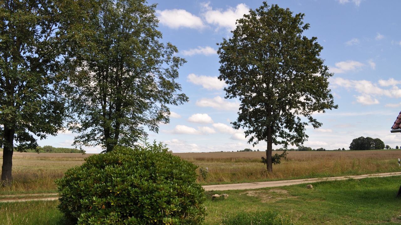 Photo of Others in Waldhufen