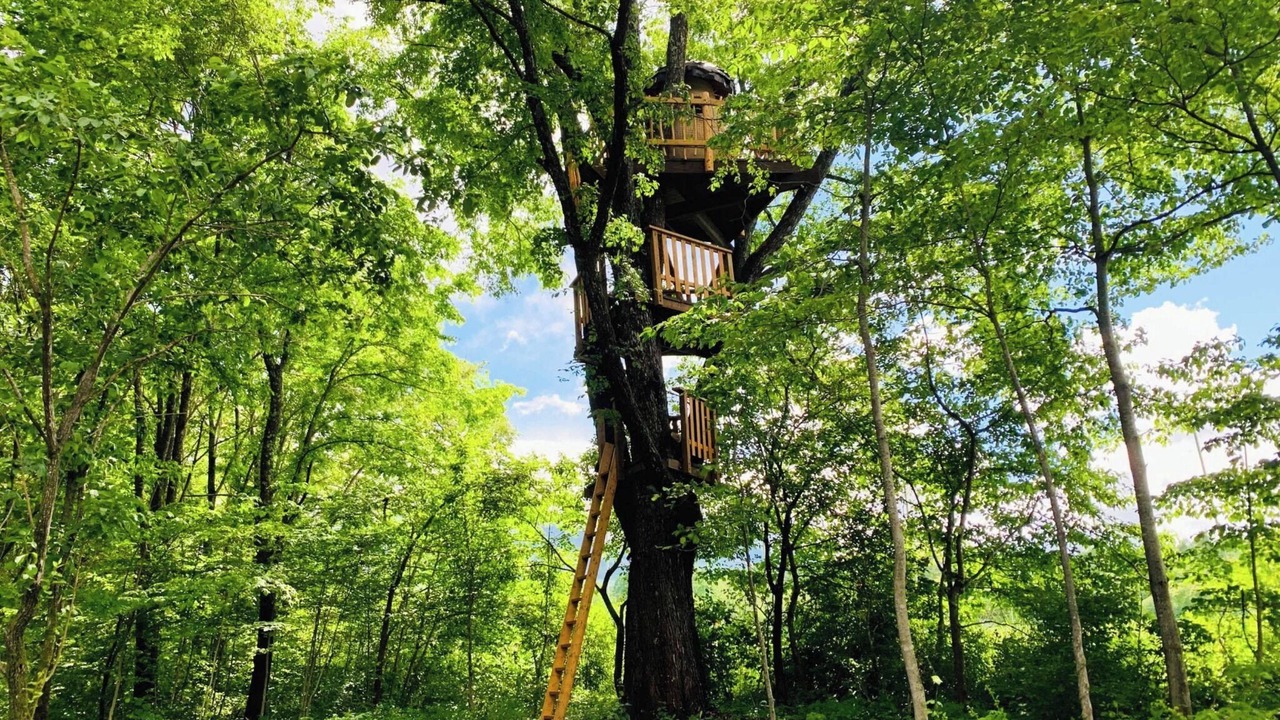 Photo of Others in Tsumagoi