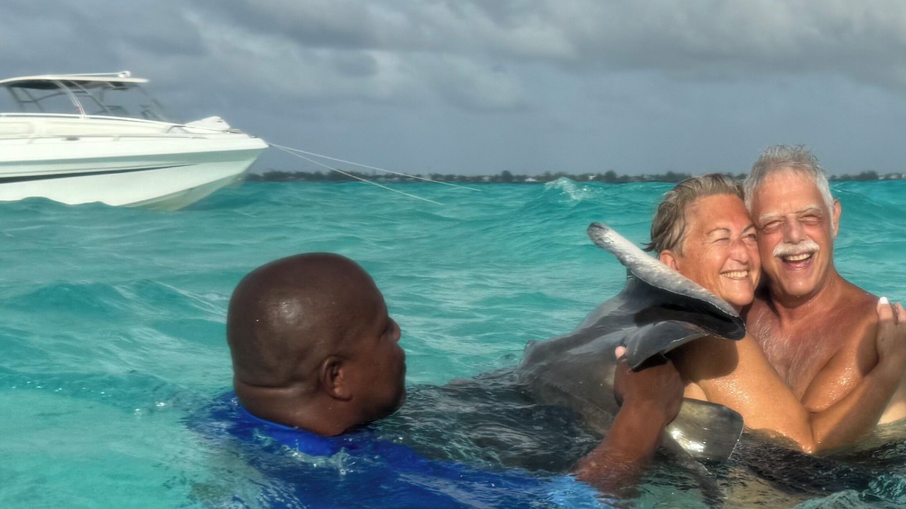Photo of Others in Colliers Bay