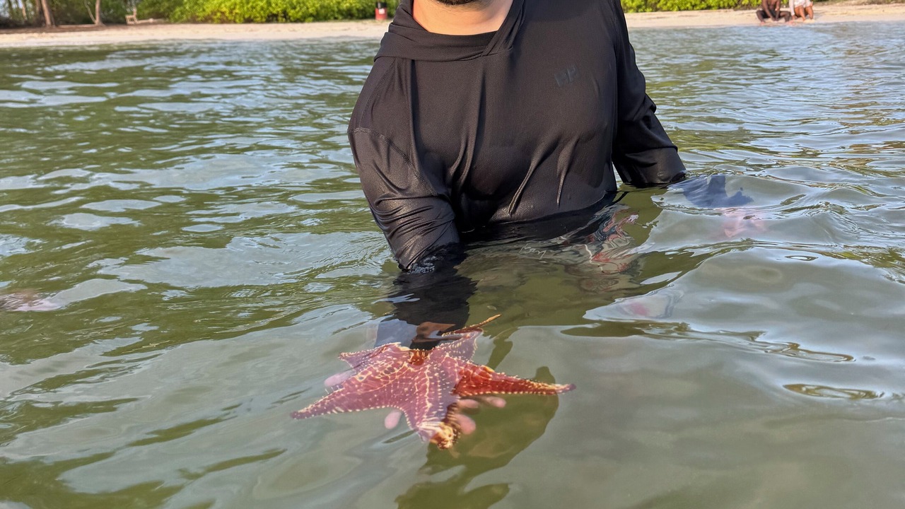 Photo of Others in Colliers Bay