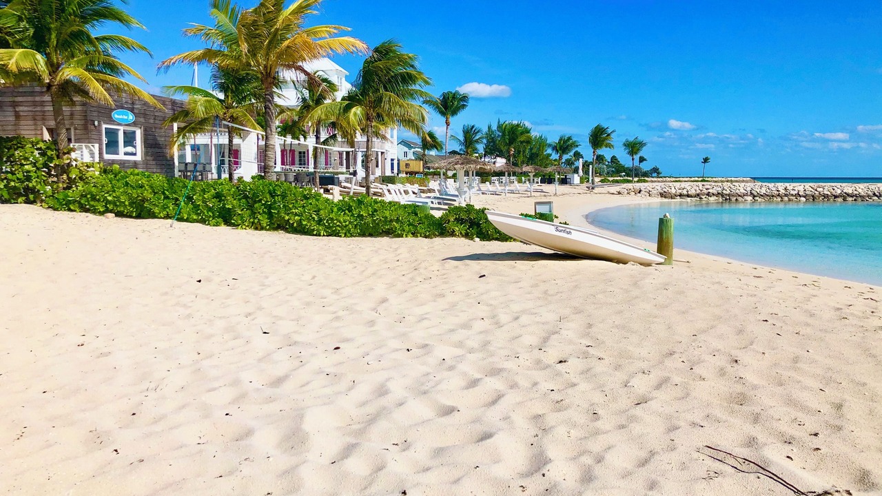 Photo of Others in Palm Cay