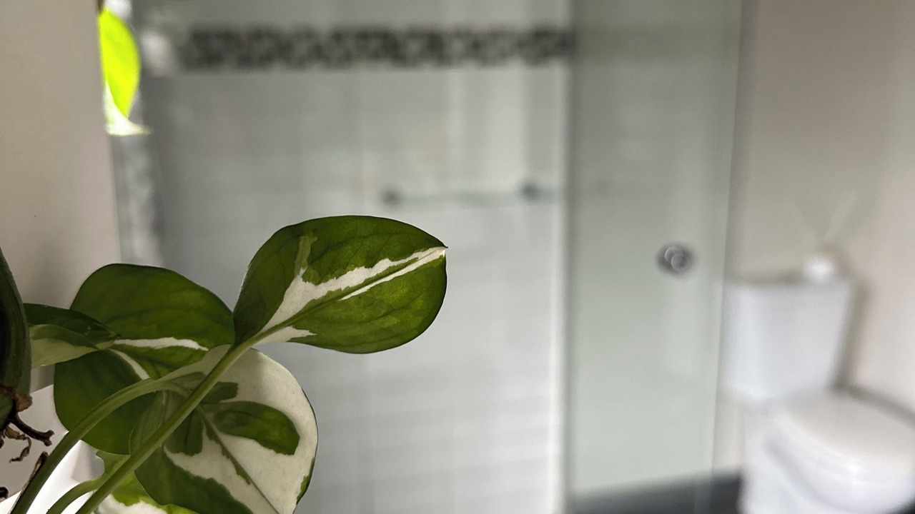 Photo of Bathroom in Gisborne