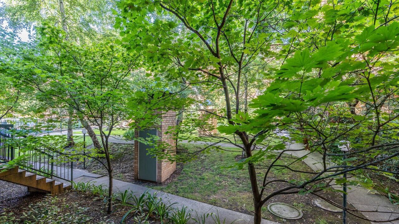 Photo of Outdoor in Manuka