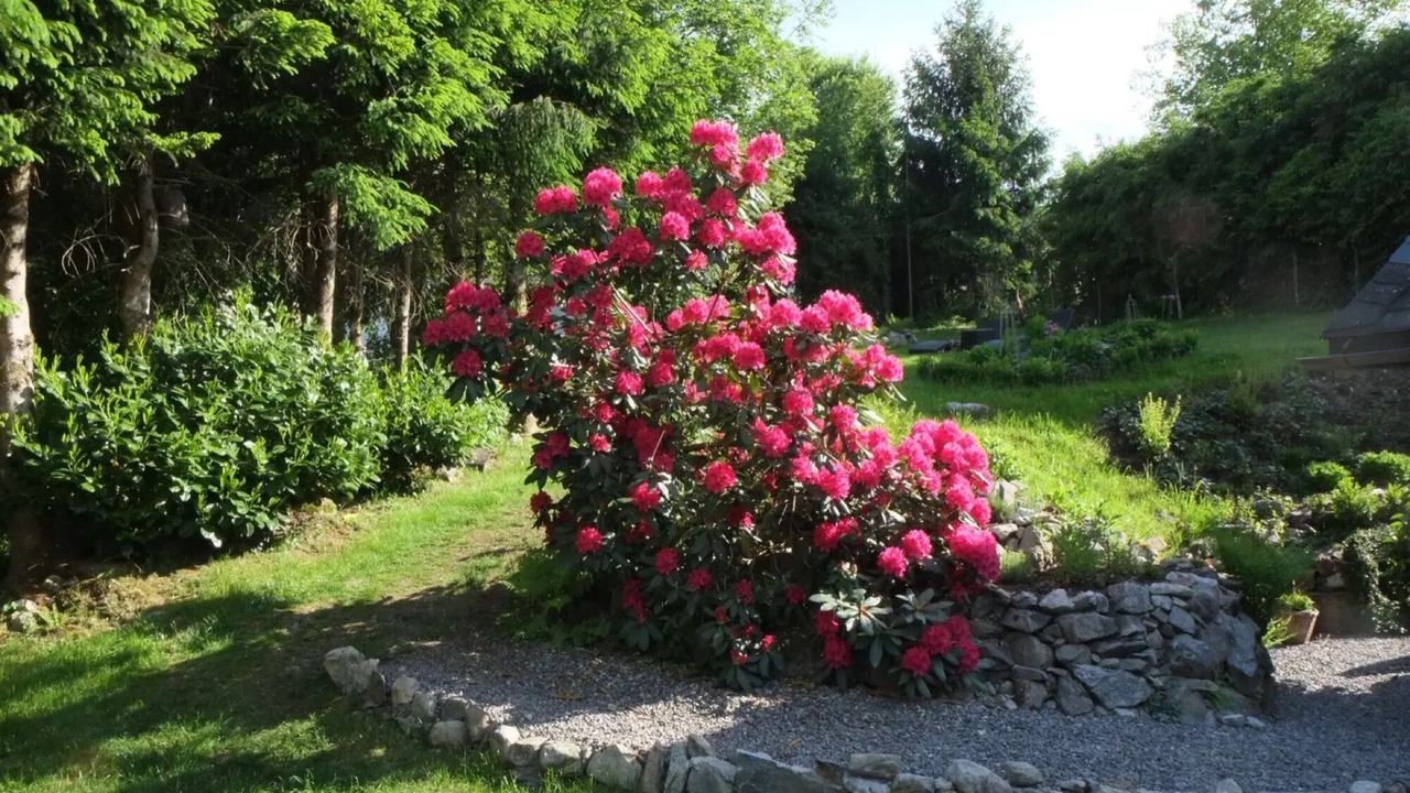 Photo of Outdoor in Hinterzarten