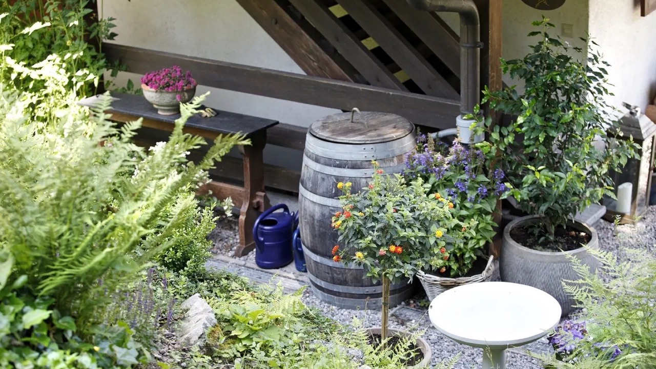 Photo of Outdoor in Hinterzarten