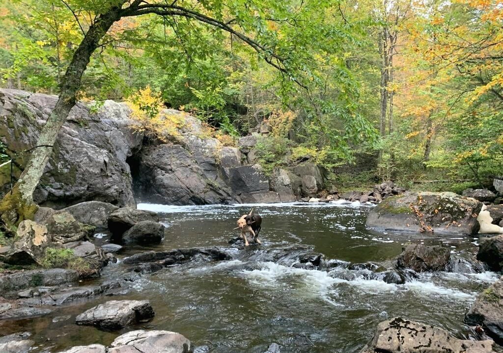 Photo of Others in Crown Point