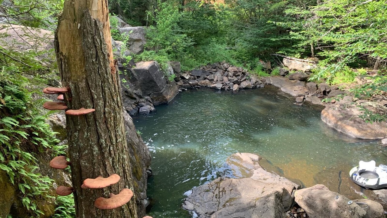 Photo of Outdoor in Crown Point