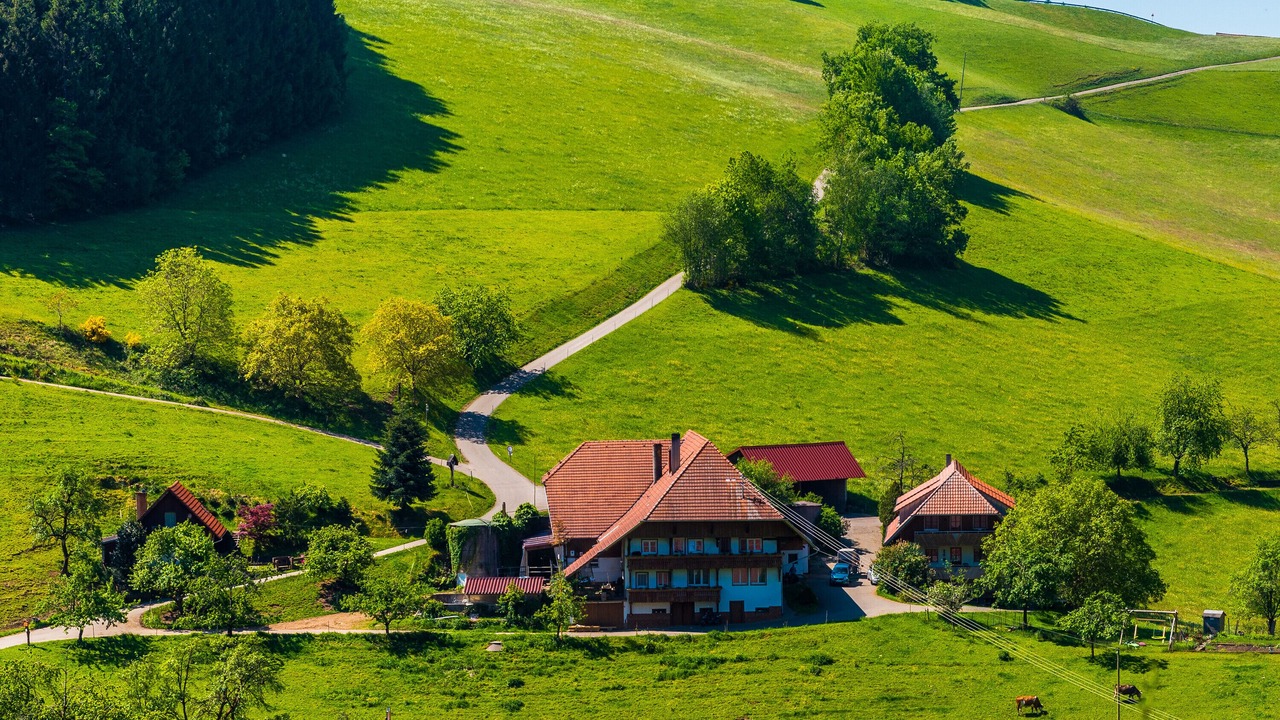 Photo of Outdoor in Muehlenbach