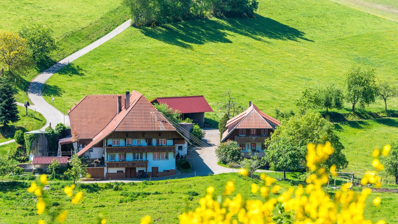 Photo of Outdoor in Muehlenbach