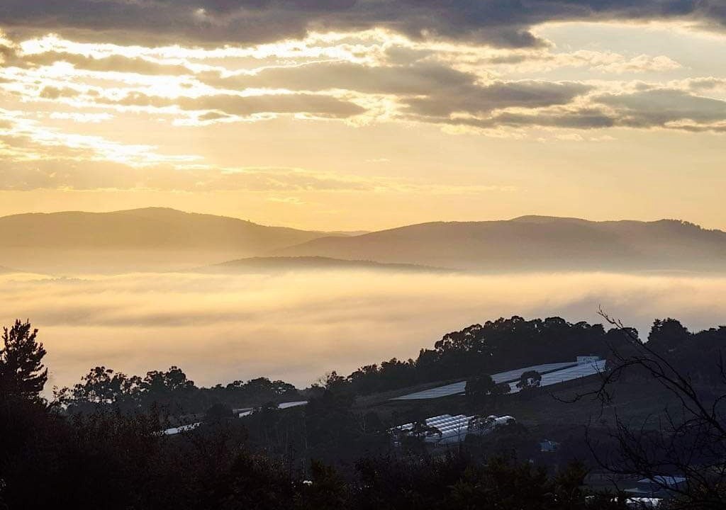Photo of Outdoor in Silvan