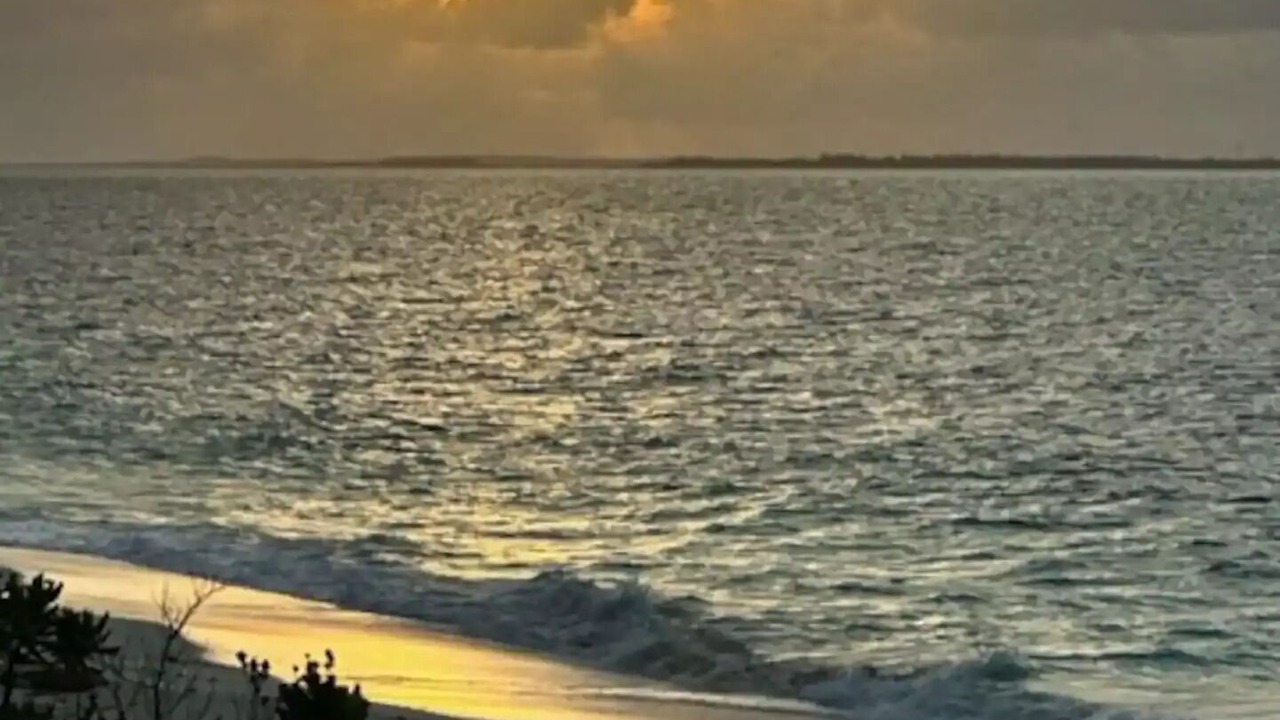 Photo of Others in Bahama Palm Shores