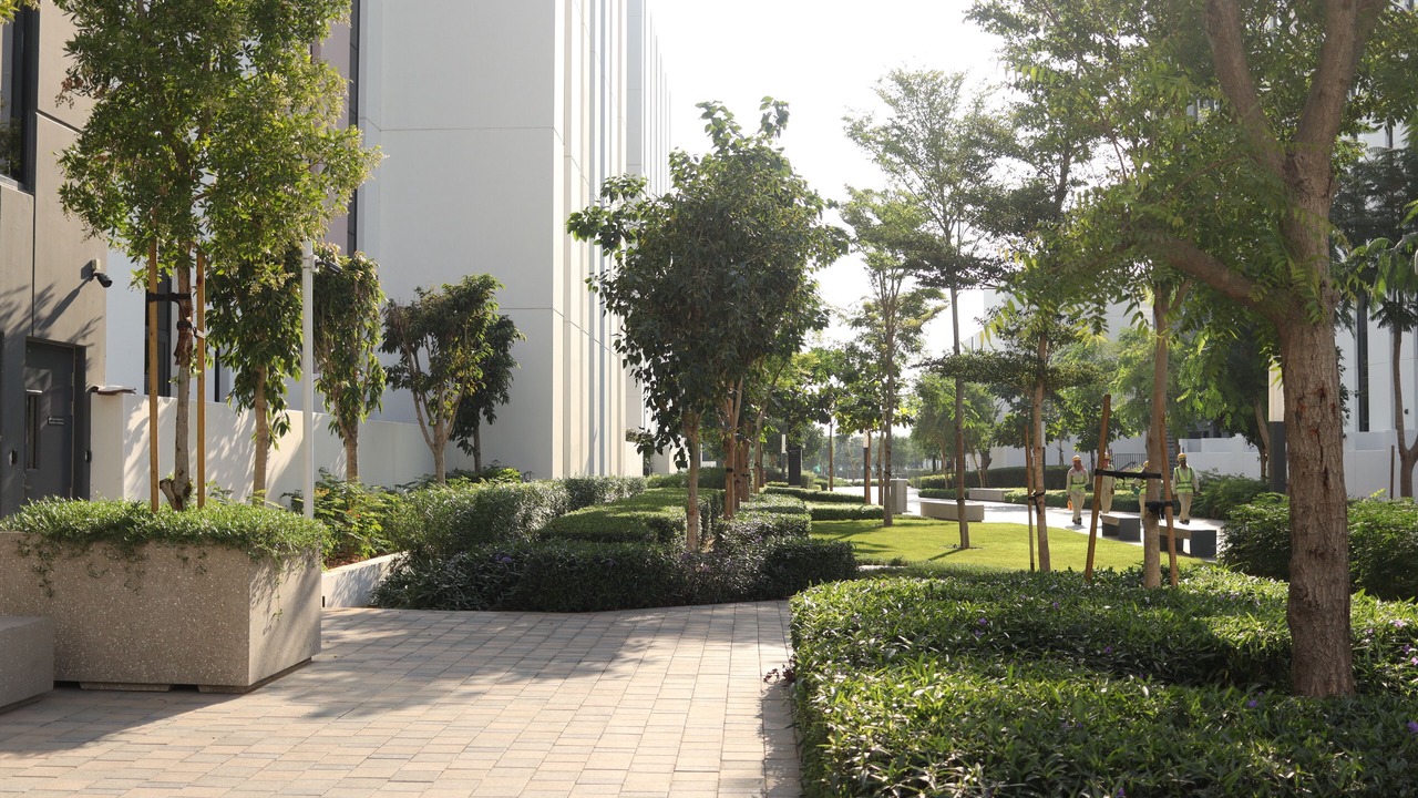 Photo of Outdoor in Sharjah