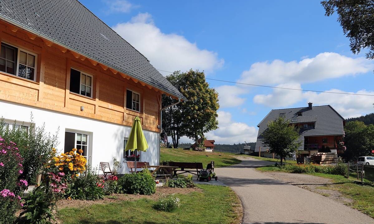 Photo of Outdoor in Titisee-Neustadt