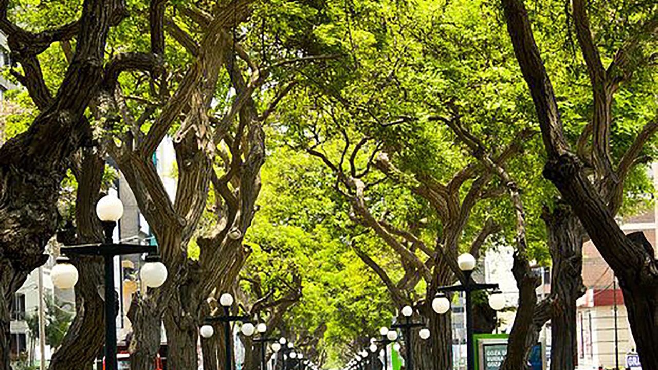 Photo of Others in Miraflores