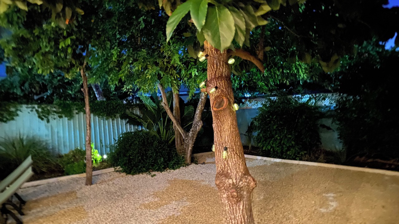 Photo of Outdoor in Silver Sands