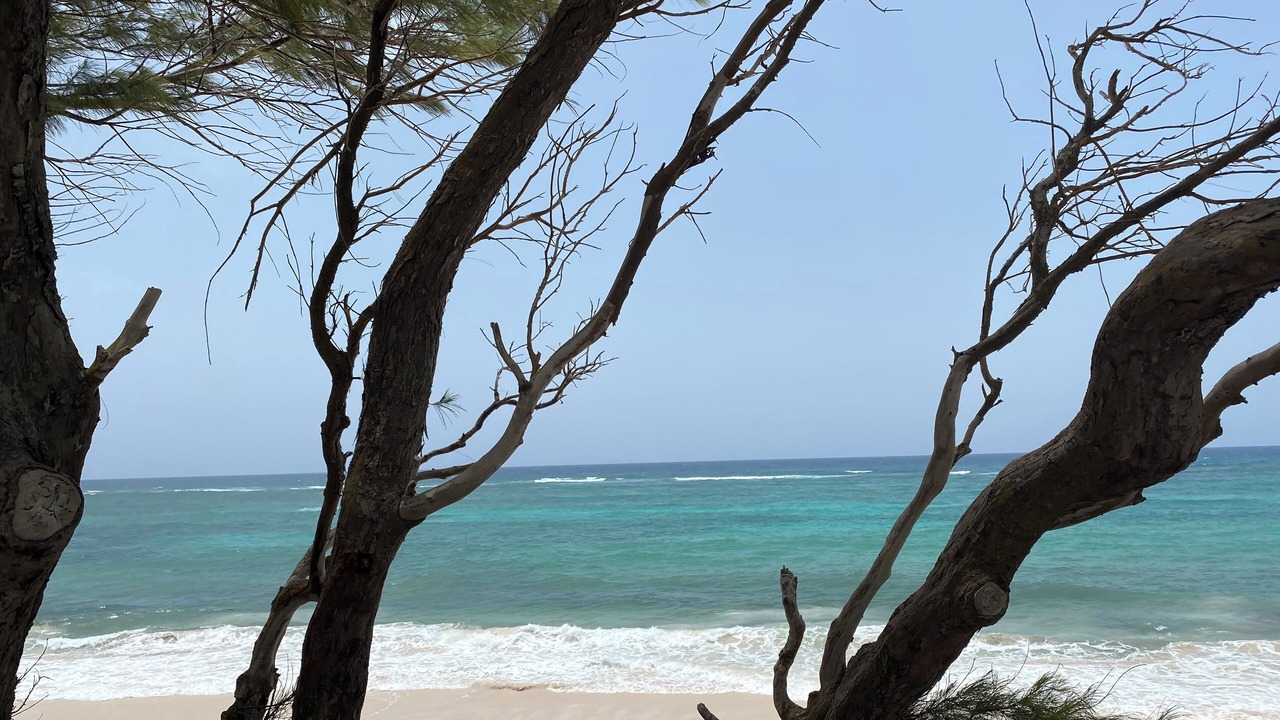 Photo of Others in Silver Sands