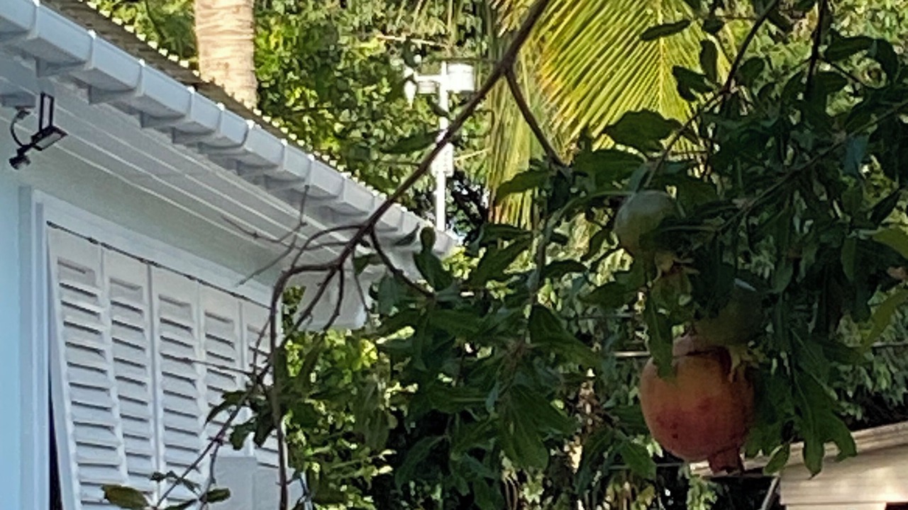 Photo of Outdoor in Silver Sands