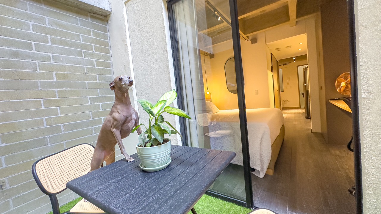 Photo of Patio Balcony in Suramericana