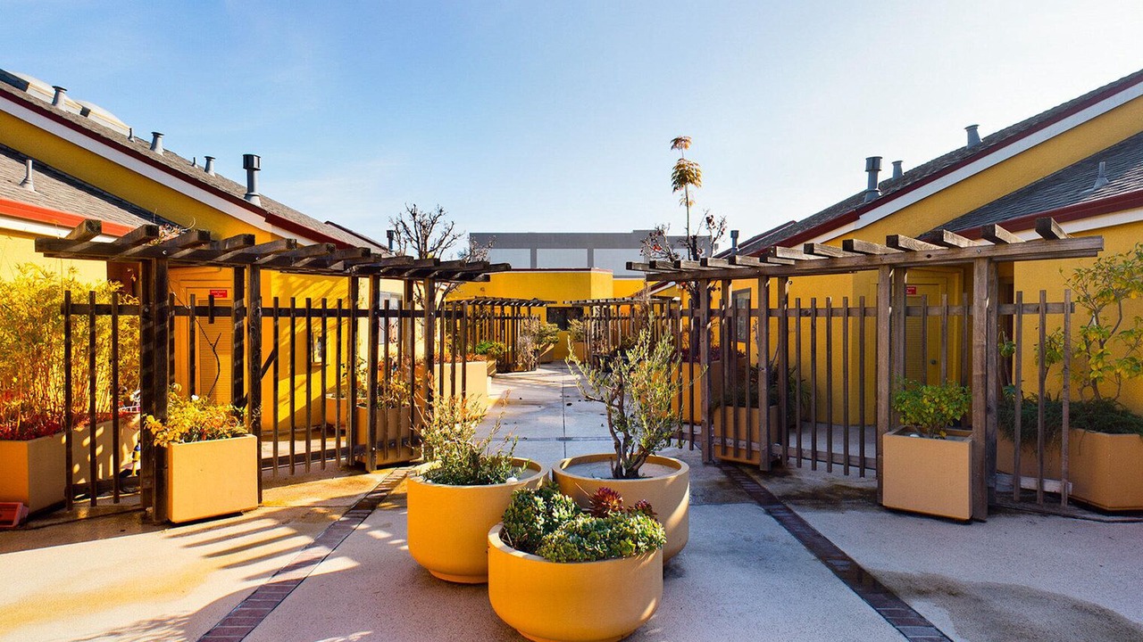 Photo of Outdoor in San Carlos