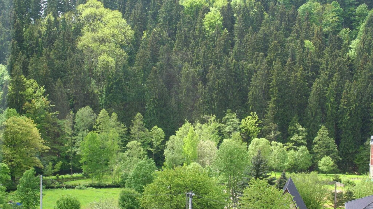 Photo of Others in Grunhainichen