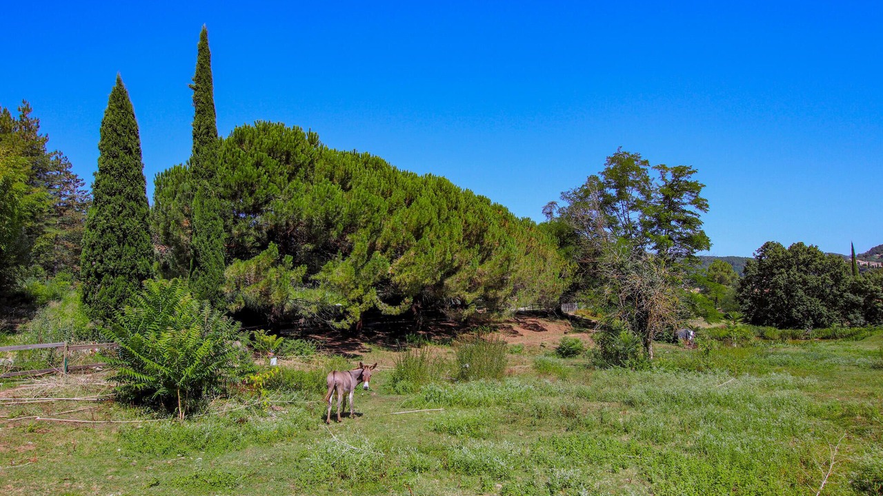 Photo of Others in Aubenas