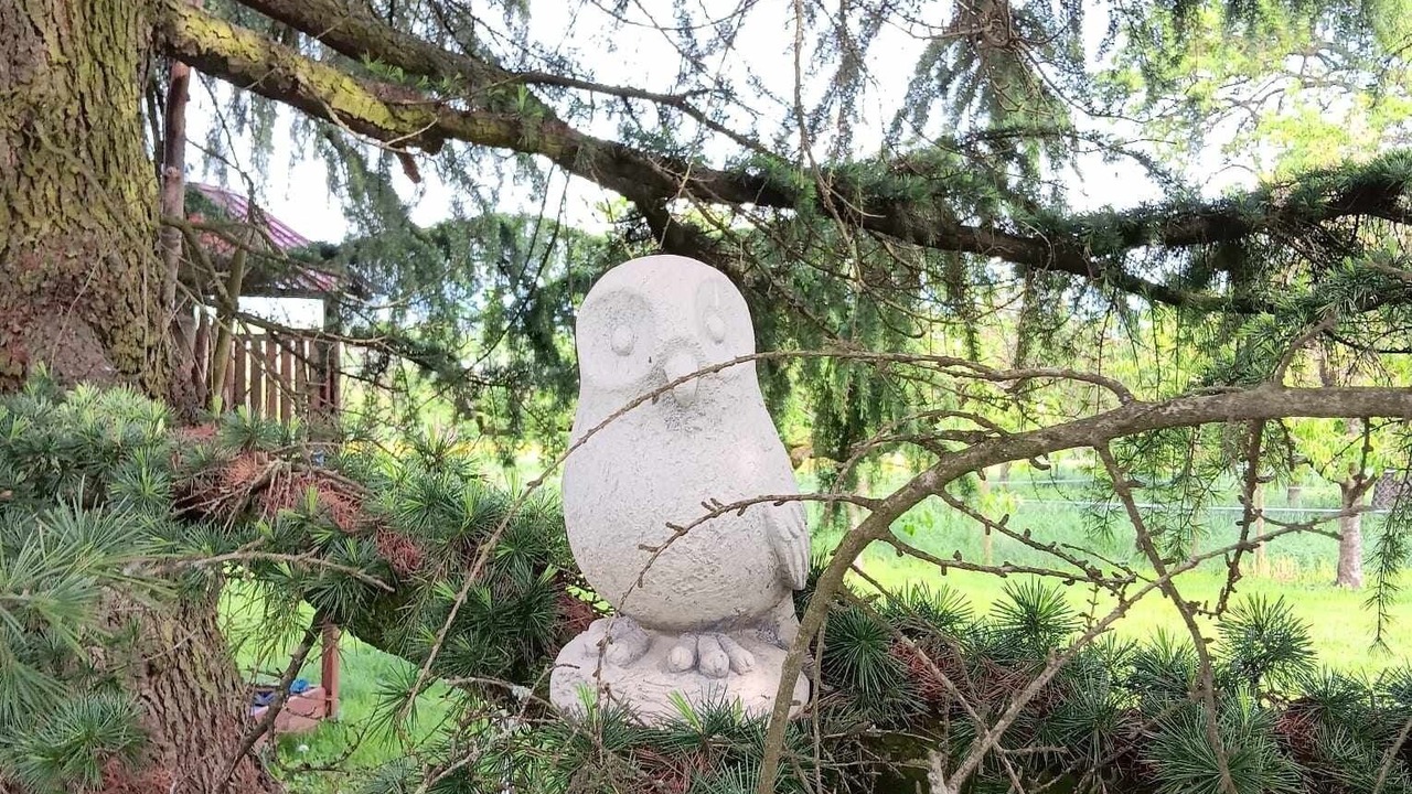 Photo of Outdoor in Ingersheim