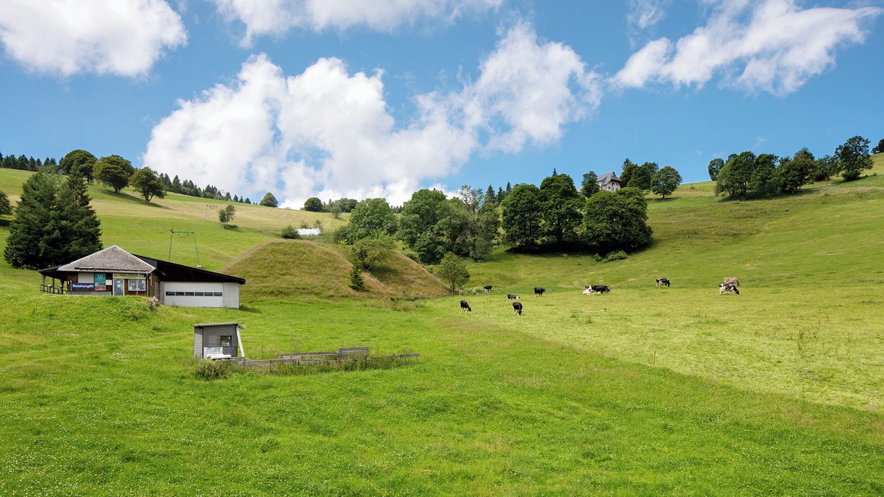 Photo of Others in Hofsgrund