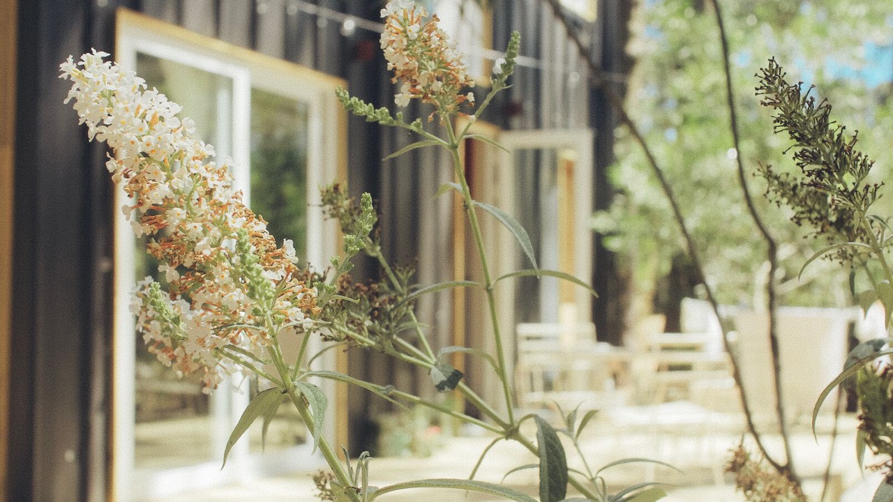 Photo of Outdoor in Solanas