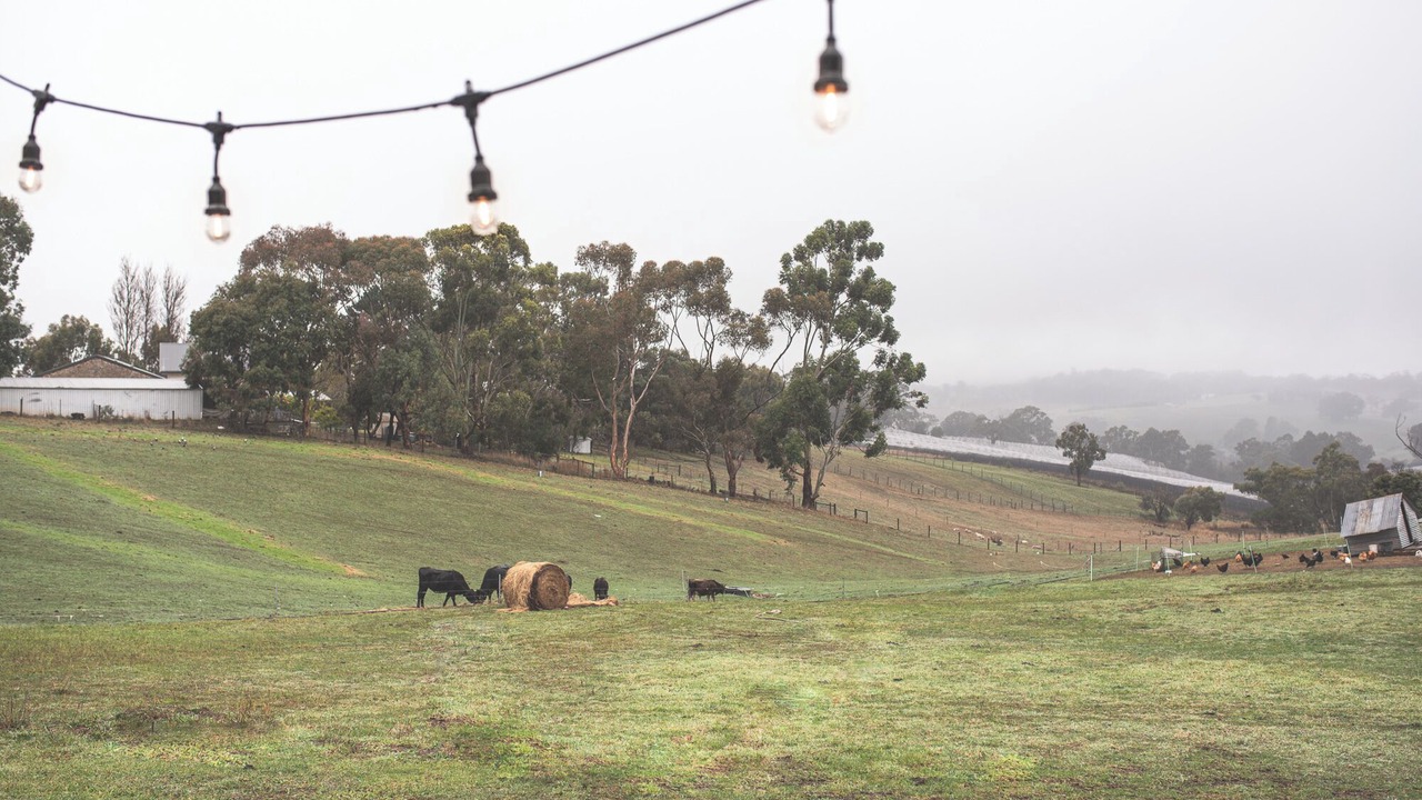 Photo of Others in Talunga