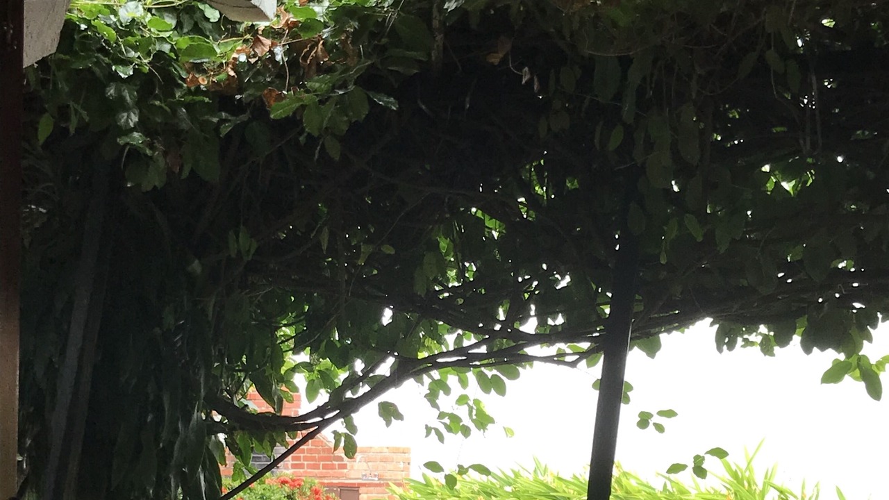 Photo of Outdoor in Papare