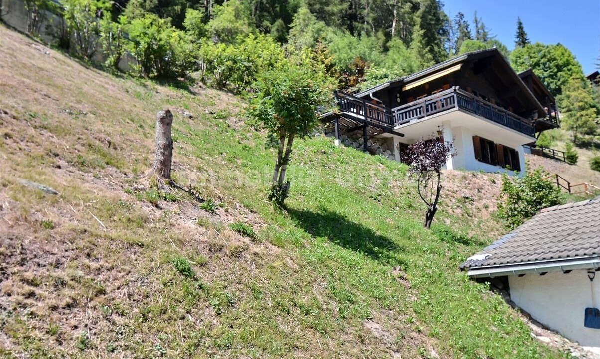 Photo of Others in Grimentz