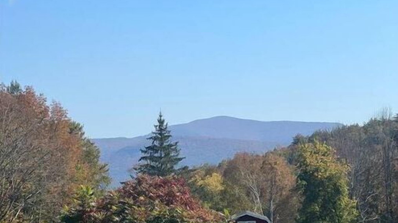Photo of Outdoor in Gilboa