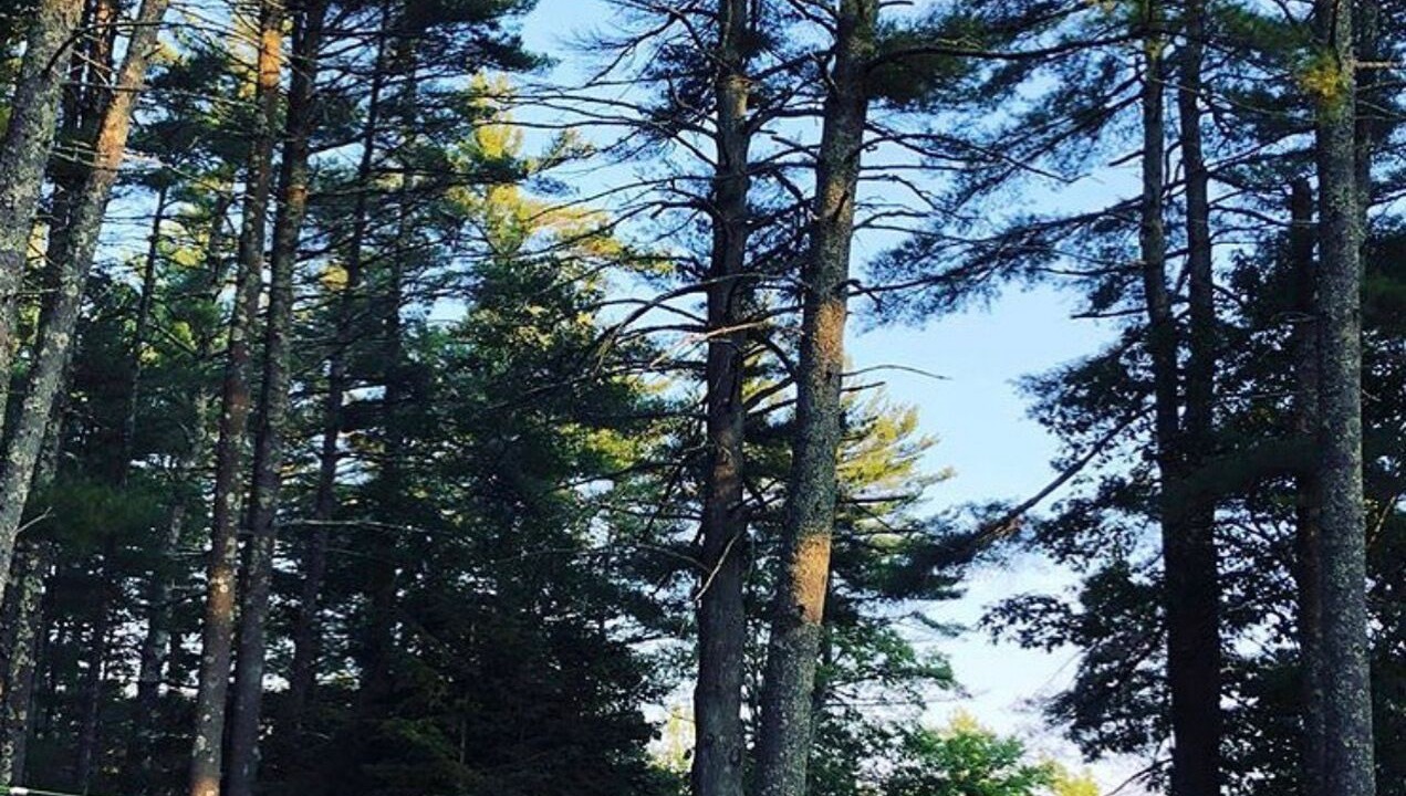 Photo of Outdoor in West Greenwich