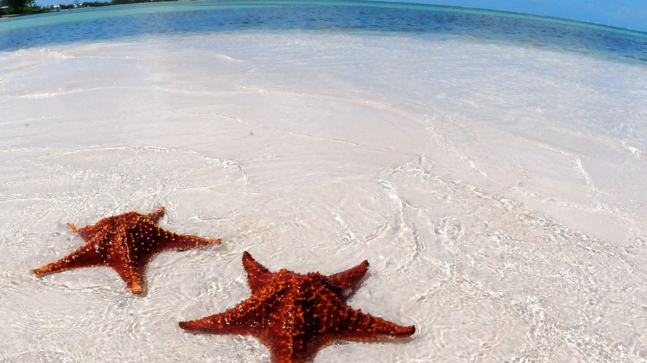 Photo of Others in Rum Point
