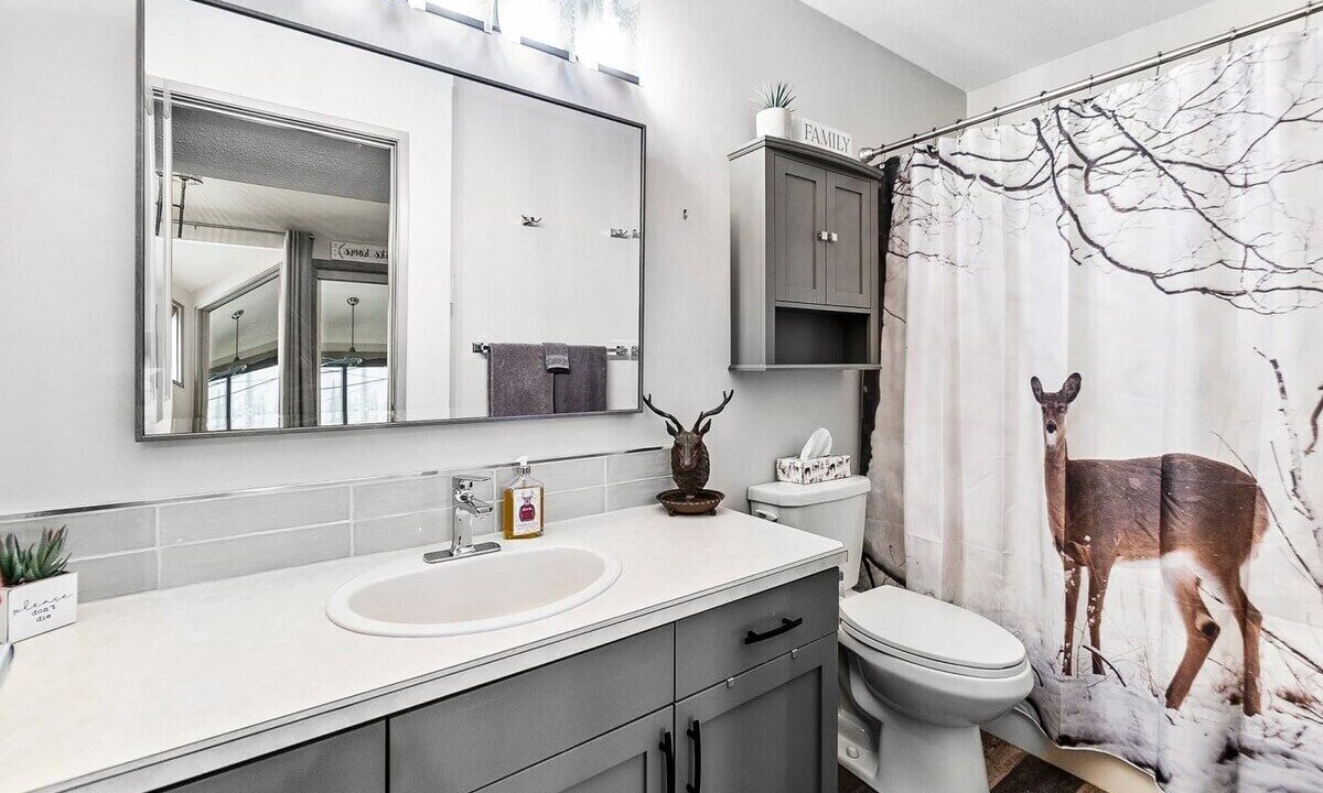 Photo of Bathroom in Big White Ski Resort