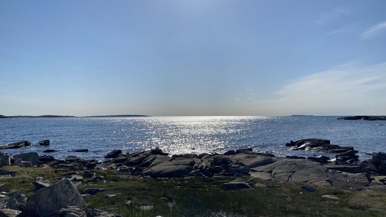 Photo of Others in Peaks Island
