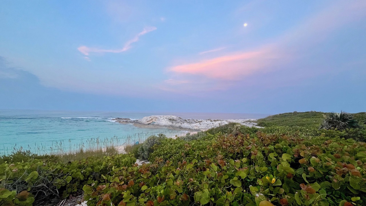 Photo of Others in Deadmans Cay