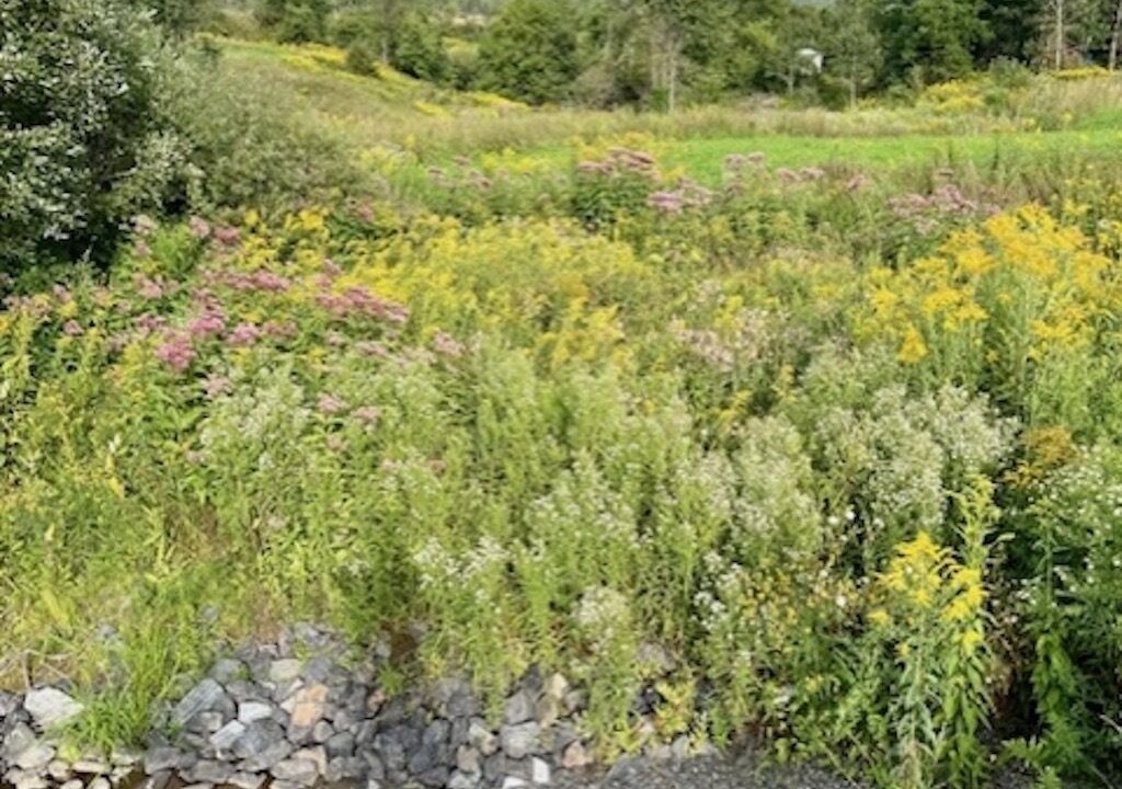Photo of Outdoor in Sutton