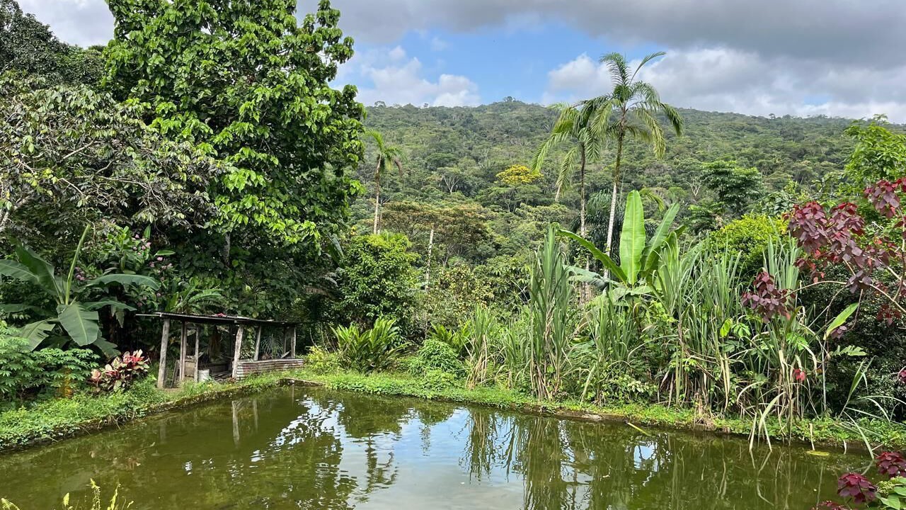 Photo of Outdoor in Mocoa