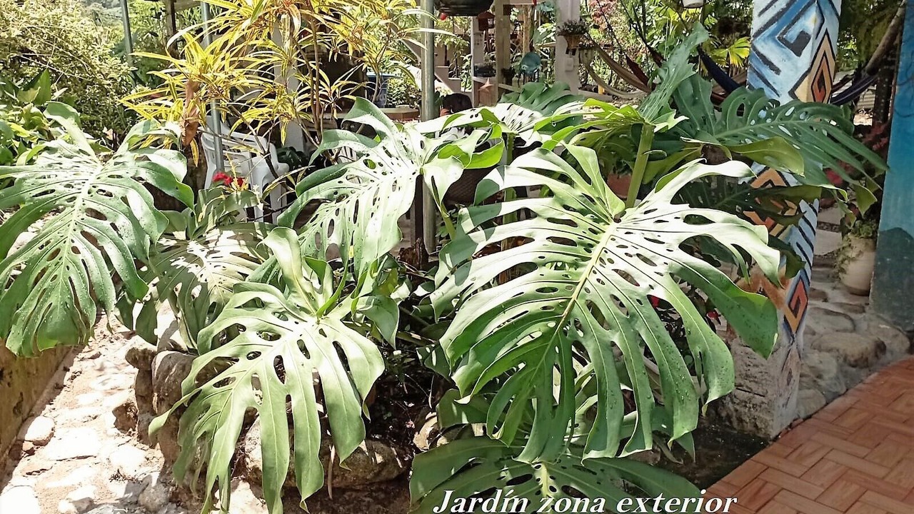 Photo of Outdoor in Mocoa