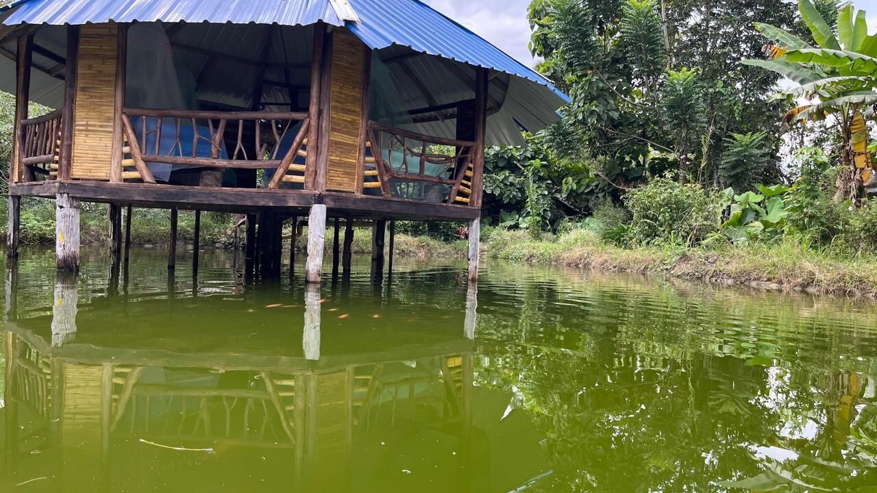 Photo of Outdoor in Mocoa