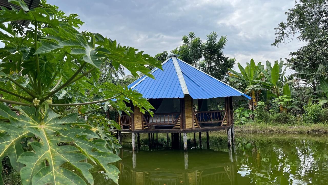 Photo of Outdoor in Mocoa