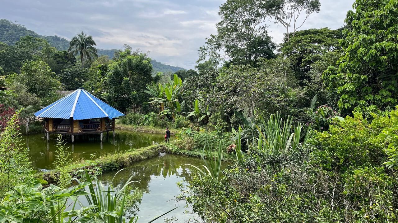 Photo of Outdoor in Mocoa