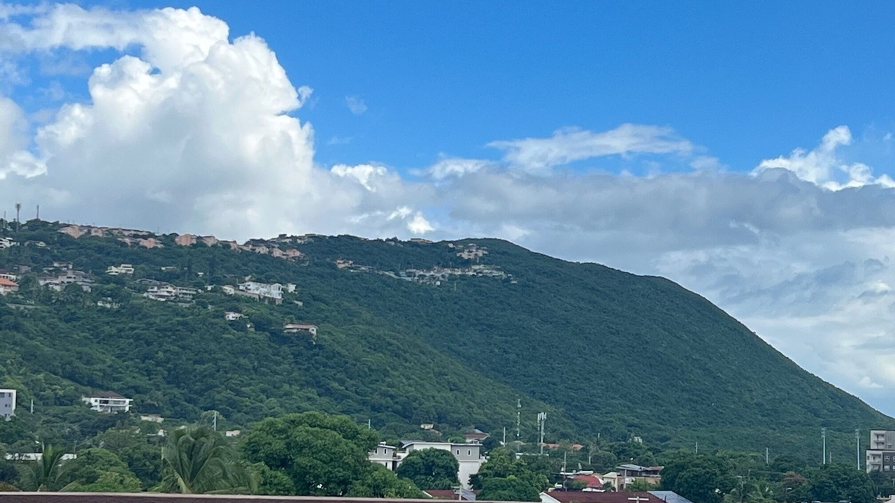 Photo of Others in New Kingston