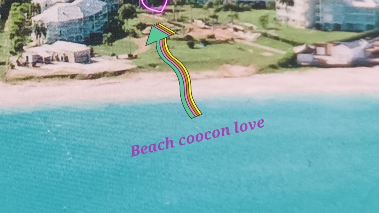 Photo of Others in Anse Marcel