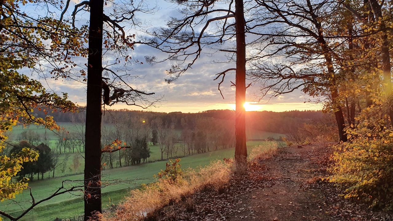 Photo of Outdoor in Leisnig