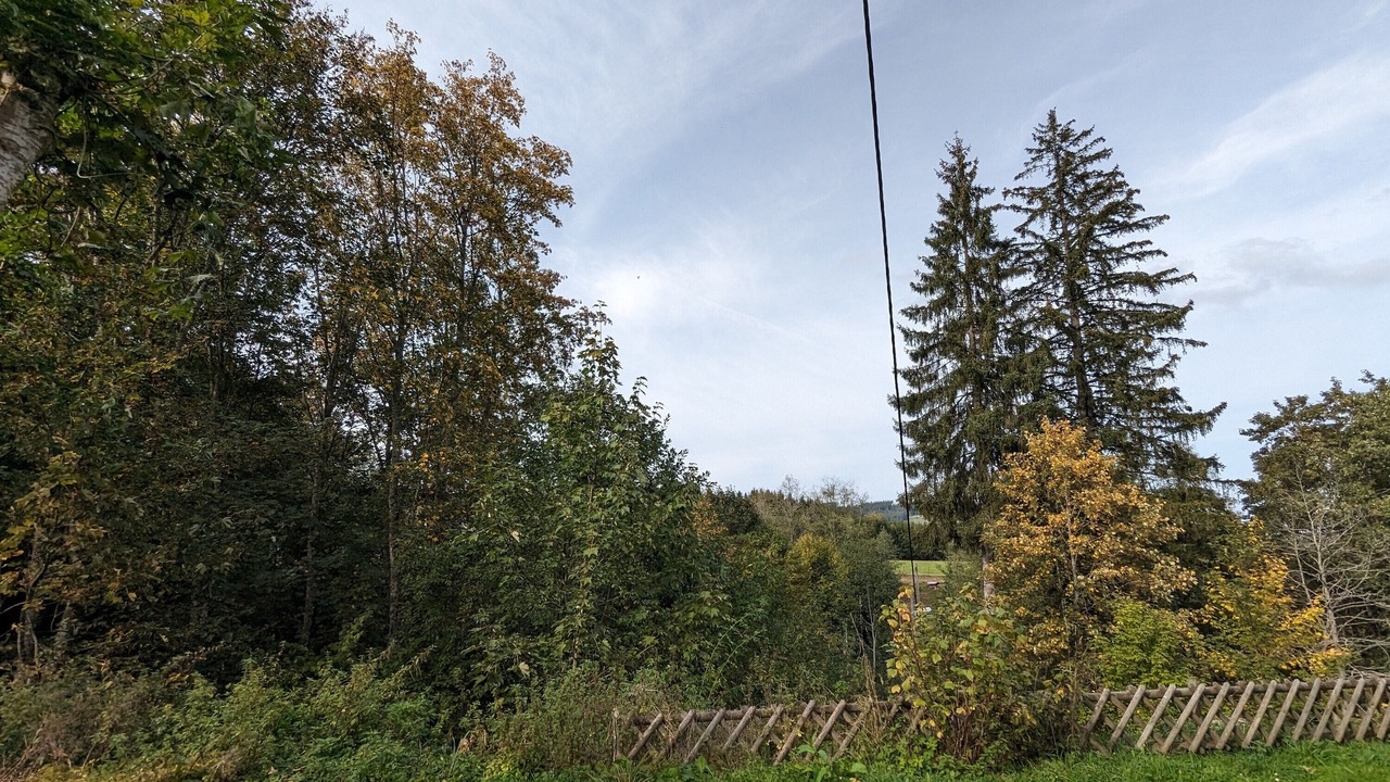 Photo of Others in Titisee-Neustadt